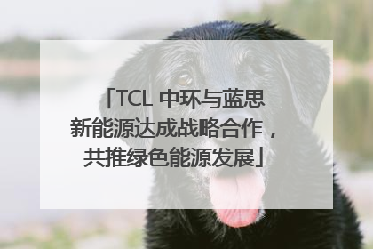TCL 中环与蓝思新能源达成战略合作，共推绿色能源发展
